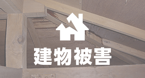 建物被害