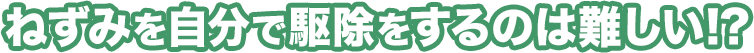 ねずみを自分で駆除するのは難しい!?