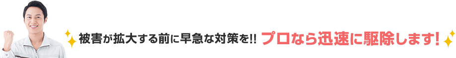 プロなら迅速にねずみを駆除します。