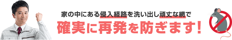 ねずみ駆除後の再発を確実に防ぎます。