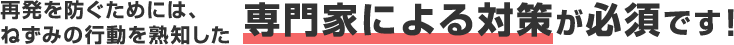 再発を防ぐためには、ねずみの行動を熟知した専門家による対策が必須です。