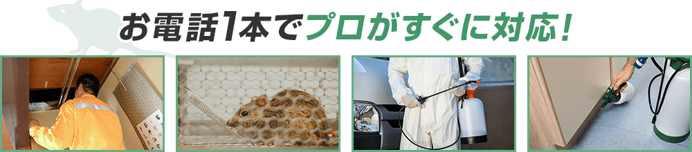 お電話1本でプロがすぐに対応!