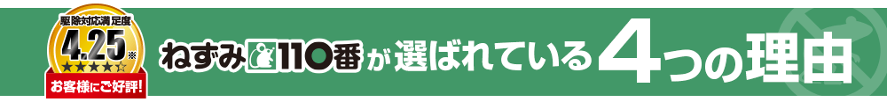 ねずみ110番が選ばれている4つの理由