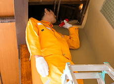 無料現地調査イメージ