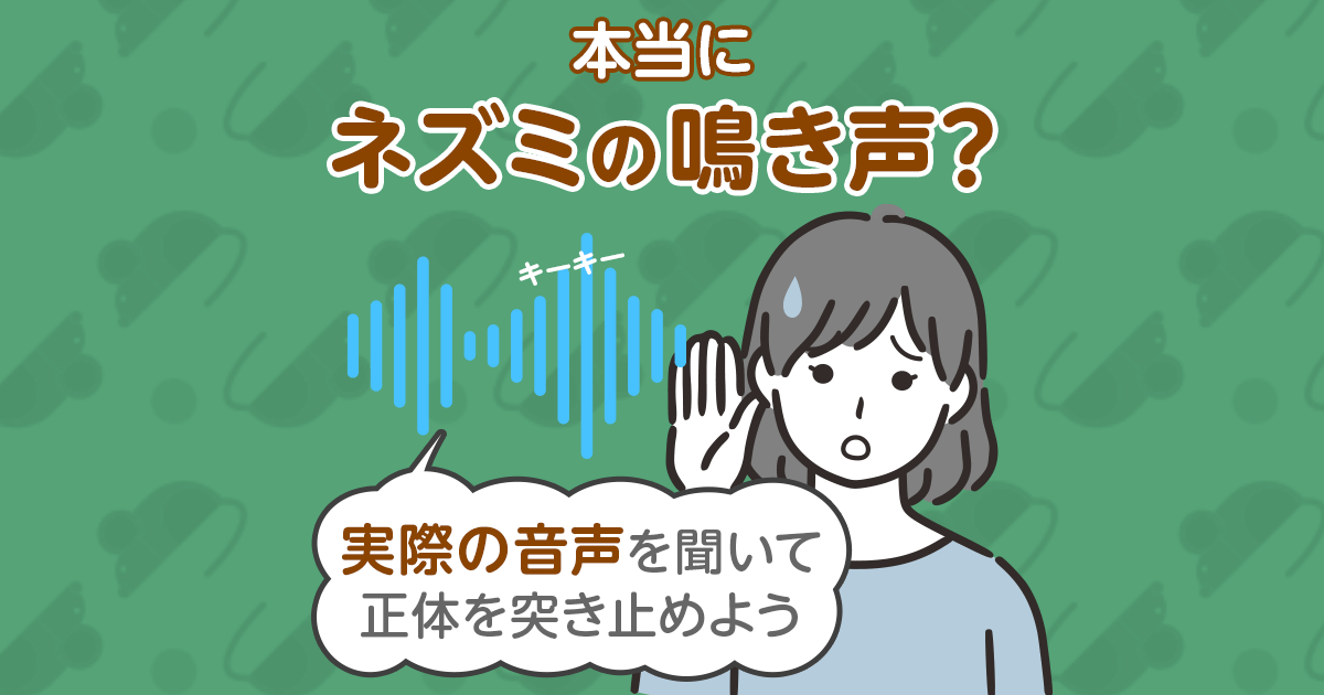 本当にネズミの鳴き声？実際の音声を聞いて正体を突き止めよう