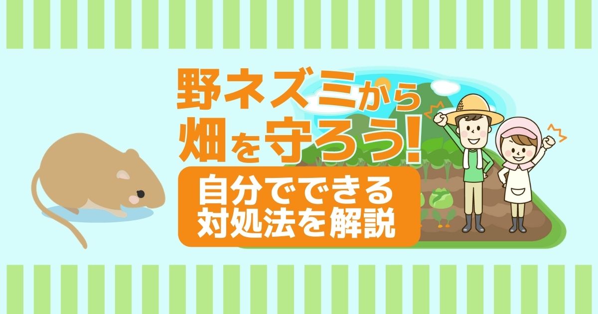 野ネズミから畑を守ろう！自分でできる対処法を解説