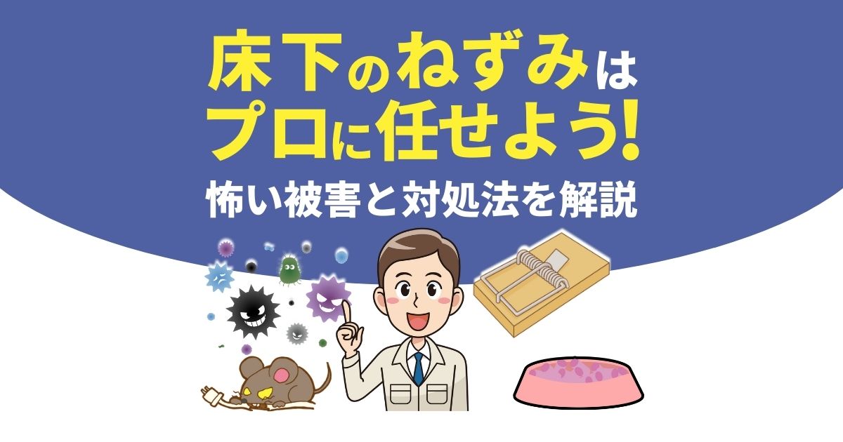 床下にはねずみがいた！ドブネズミかも？確認方法から駆除方法まで解説