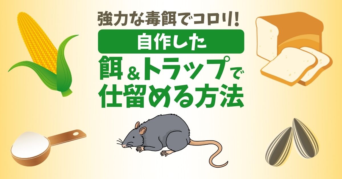 クマネズミは駆除剤が効きにくい！生態・特徴から被害対策を考える