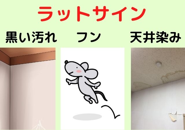 ラットサインがある場所