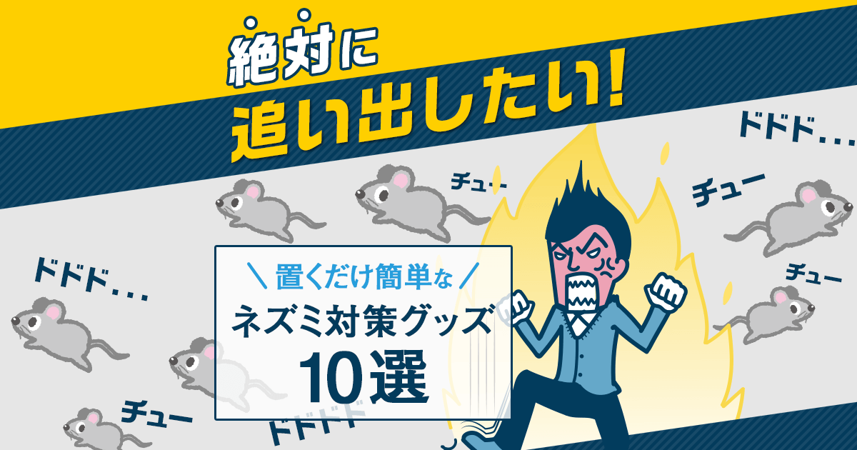 【決定版】ネズミを家から追い出す方法！捕まえなくても一斉にいなくなるコツ