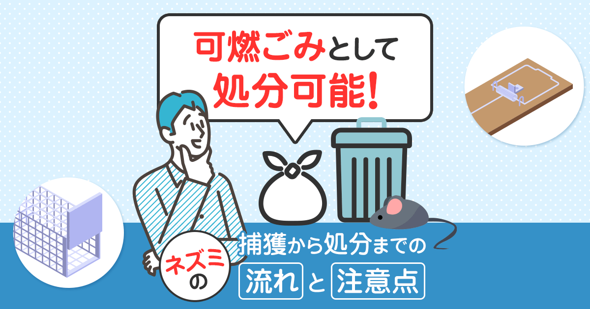 可燃ごみとして処分可能！捕獲から処分までの流れと注意点