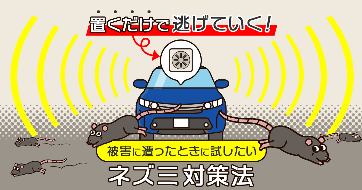 【車内・車庫のネズミ対策！】手軽に試せる3つの効果的な方法