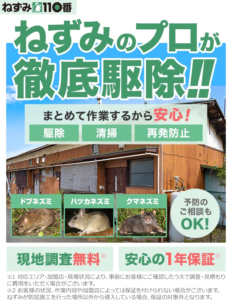ねずみのプロが徹底駆除!まとめて作業するから安心!「駆除」「清掃」「再発防止」 予防のご相談もOK! 現地調査無料 安心の1年保証
