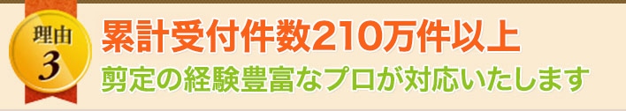 理由3 年間受付件数210万件以上 剪定の経験豊富なプロが対応いたします