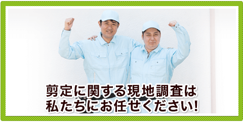 剪定で気になることは全てお気軽にご相談ください。剪定のプロが状況を確認し、丁寧かつ分かりやすい言葉を使いお客様にご説明いたします。