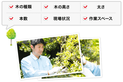 無料現地調査で次のような事が分かります