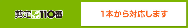 剪定110番 １本から対応します