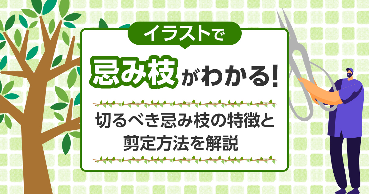 切るべき忌み枝の特徴と剪定方法を解説