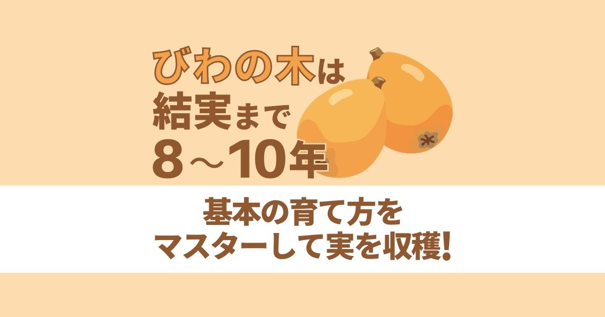 びわの木に実がなるまで。生長の流れや栽培方法を解説！