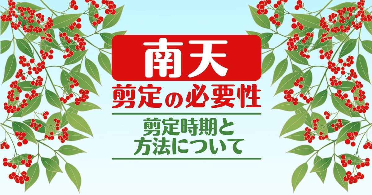 南天の剪定のコツ・時期｜基本の手入れ～鉢植えの植え替えや挿し木の仕方まで！庭木の栽培方法を紹介