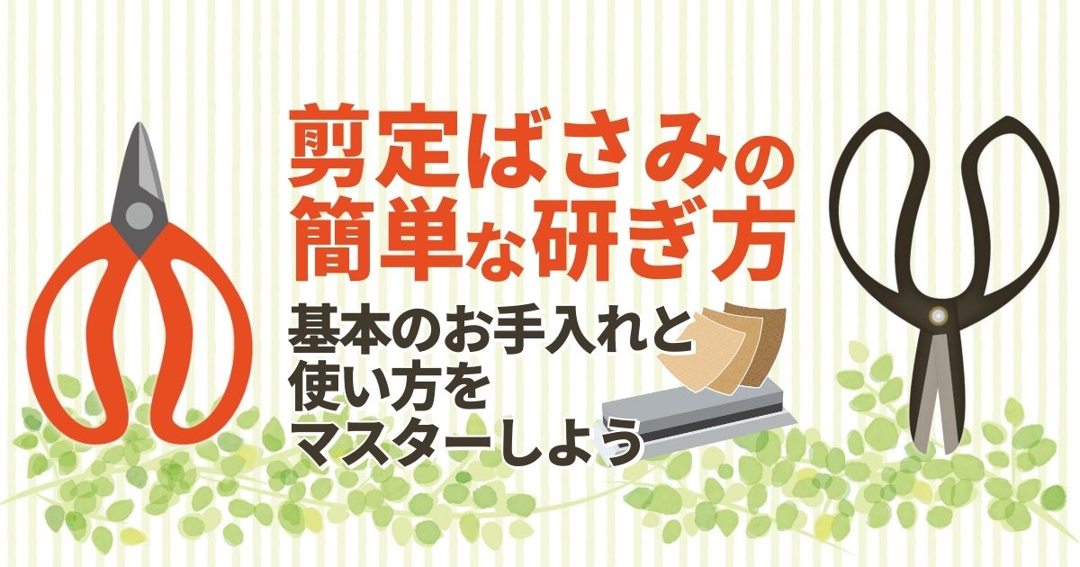 剪定ばさみの手入れ方法を解説！長持ちさせる秘訣も教えます