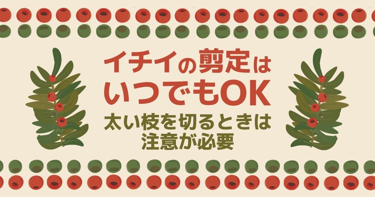 イチイの木の剪定は定期的に！剪定時期やキレイに剪定するコツとは