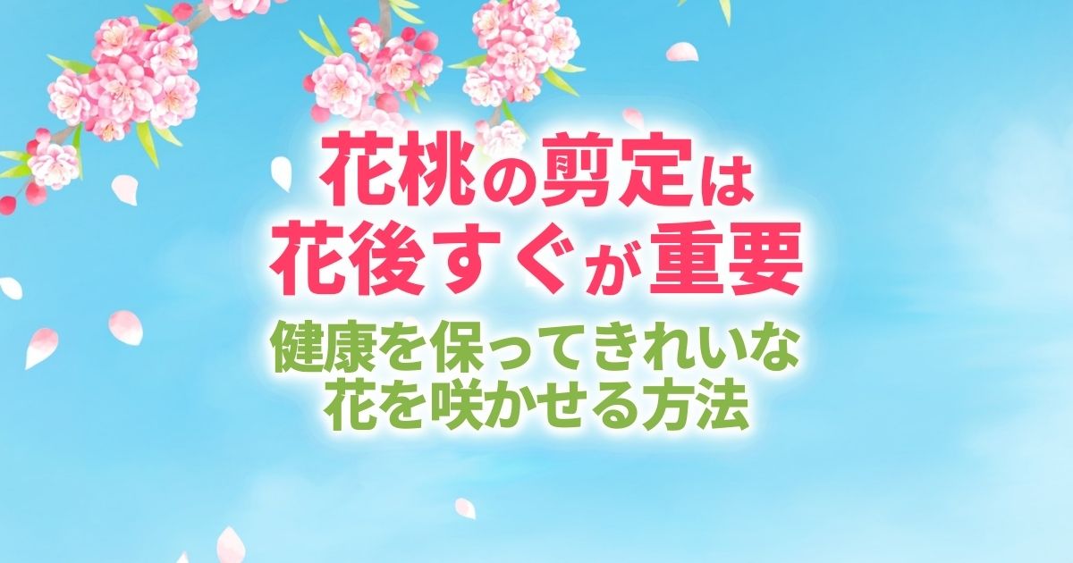 花桃の木の剪定時期と失敗しない方法｜花が咲かない原因を解決！