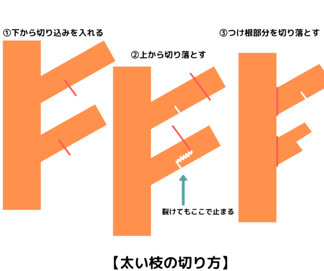 太い枝の切り方