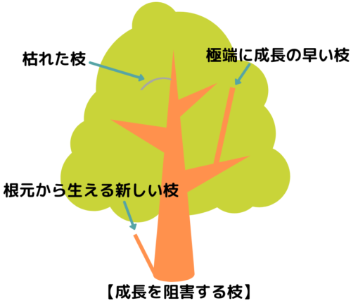 成長を阻害する枝