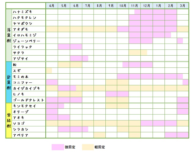 樹木の種類ごとの　剪定時期